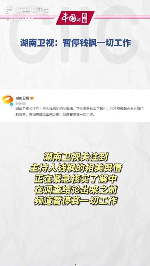 娱乐吃瓜项目是什么,揭秘娱乐圈幕后真相与热点事件  第2张